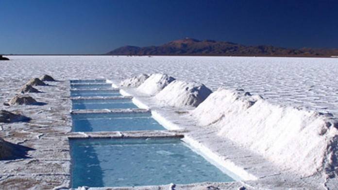 Una científica argentina volvió al país para lograr una energía limpia en base al litio del Norte