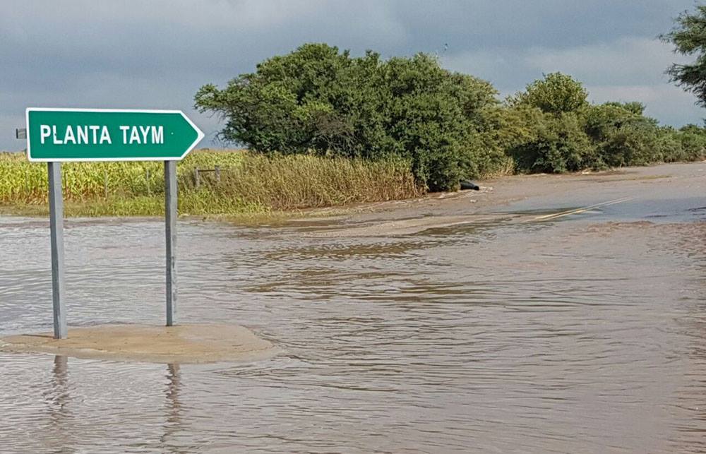 El agua desbordó el predio del mayor operador de residuos peligrosos de Córdoba