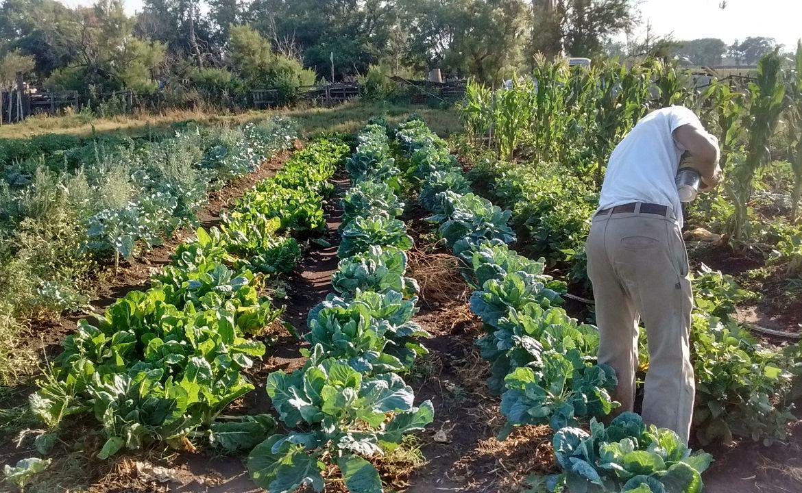 Agroecología: un horizonte para el desarrollo local sustentable