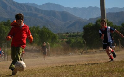 Clubes, sociedades anónimas y deporte en la Argentina